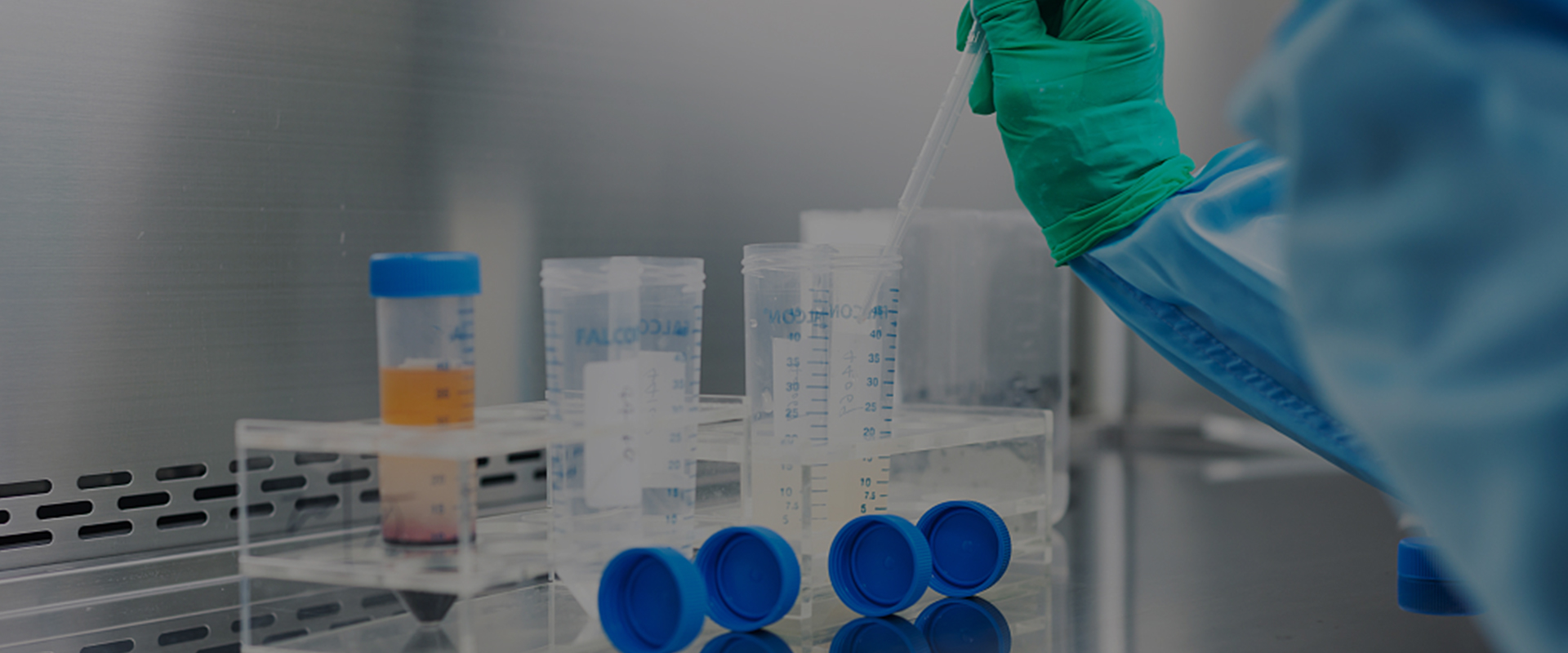 HIGH-QUALITY AMINES DERIVATIVES